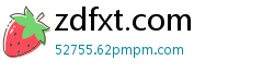 zdfxt.com